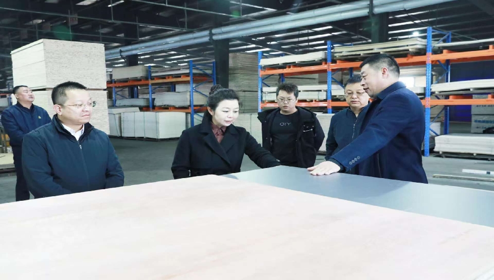 王威调研检查企业运营、安全生产及项目筹备建设情况